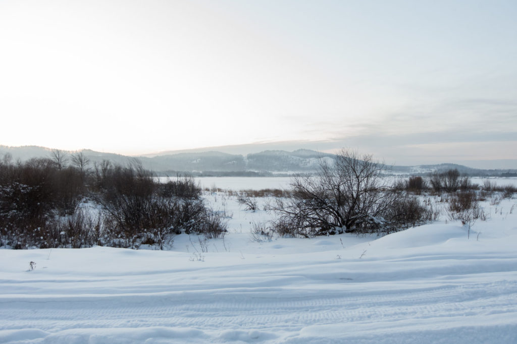 Клюквенная падь