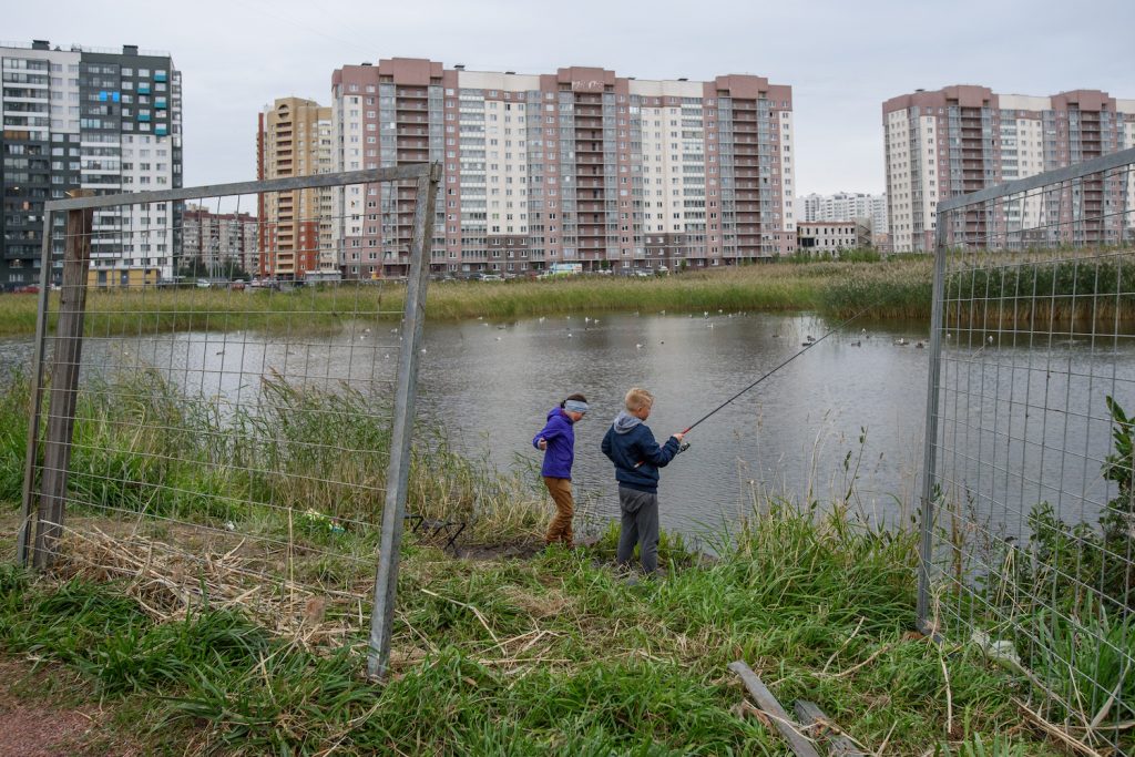 Остров среди трясины