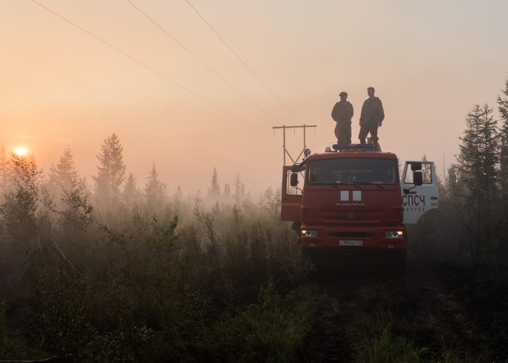 «Все отлично, папа пошел поливать крышу»