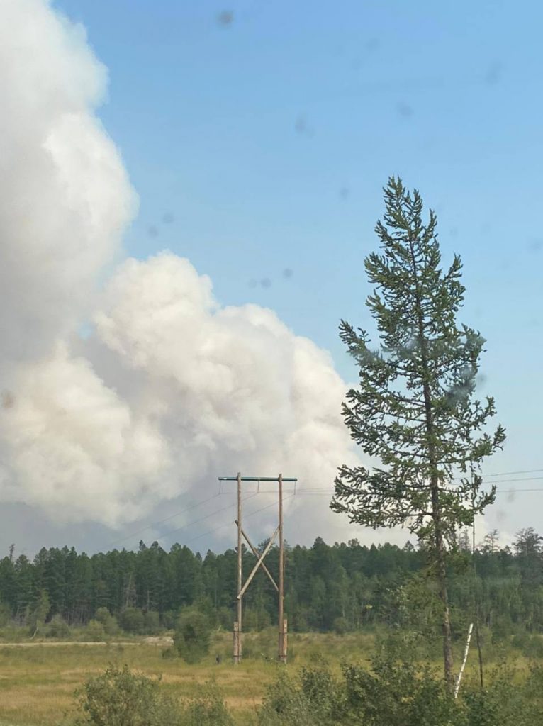 «Все отлично, папа пошел поливать крышу»