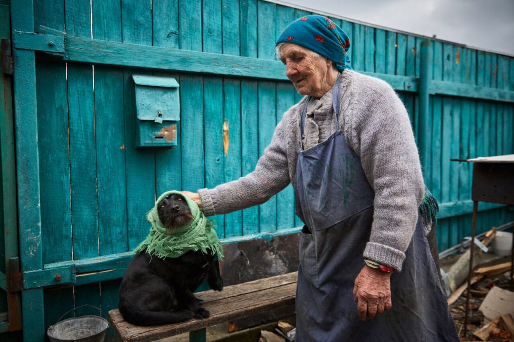 Кошка, которая два месяца прожила без еды и воды в разрушенном доме, дождалась свою хозяйку