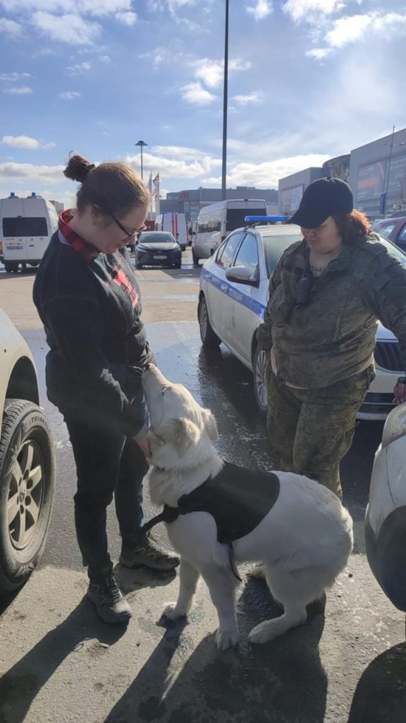 Собаки, которые якобы разбирали завалы в «Крокусе»