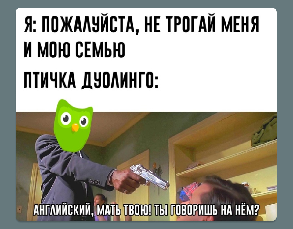 Сова из Duolingo терроризирует миллионы людей