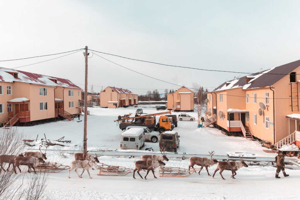 Эвены — оленеводы Якутии. Фотограф Алексей Васильев